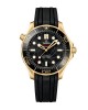 Omega Seamaster Diver 300m Co-Axial Master Chronometer 210.62.42.20.01.001 Replica