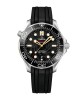 Omega Seamaster Diver 300m Co-axial Master Chronometer 210.22.42.20.01.004 Replica