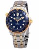 Omega Seamaster Diver 300M Master Co-Axial Steel & Gold 210.20.42.20.03.001 Blue Dial Replica