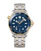 Omega Seamaster Diver 300M Master Co-Axial Steel & Gold 210.20.42.20.03.001 Blue Dial Replica