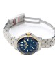 Omega Seamaster Diver 300M Master Co-Axial Steel & Gold 210.20.42.20.03.001 Blue Dial Replica