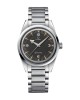 Omega Seamaster Railmaster Steel 220.10.38.20.01.002 Black Dial Replica